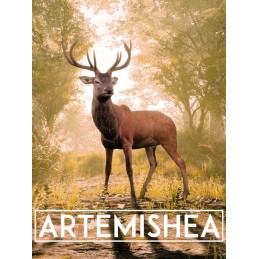 Artemishea PC Steam CD Key