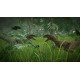 Jurassic World Evolution Deluxe Edition LATAM PC Steam CD Key