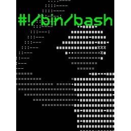 !/bin/bash PC Steam CD Key