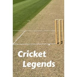 Cricket Legends PC Steam CD Key