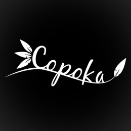 Copoka EU PC Steam CD Key