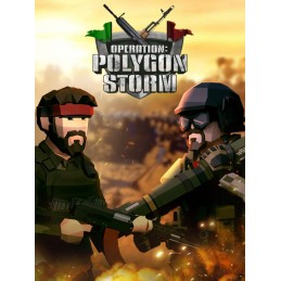 Operation: Polygon Storm PC Steam CD Key