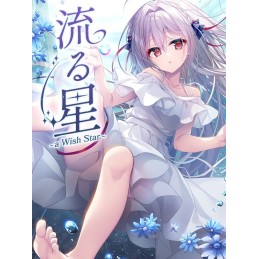 流る星 -a wish star- PC Steam Account