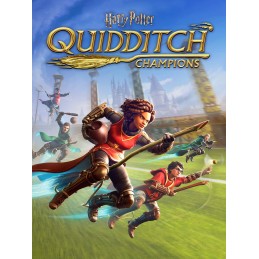 Harry Potter: Quidditch Champions Deluxe Edition NA PC Steam CD Key