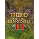 Hero of the Kingdom III EU PC Steam CD Key