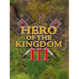 Hero of the Kingdom III EU PC Steam CD Key