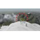 Mount Wingsuit EU PC Steam CD Key