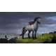 Northgard - Svardilfari, Clan of the Horse DLC EU PC Steam CD Key