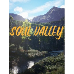 Soul Valley EU PC Steam CD Key