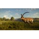 theHunter: Call of the Wild - Cuatro Colinas Game Reserve DLC EU PC Steam CD Key