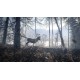 theHunter: Call of the Wild - Tents & Ground Blinds DLC EU PC Steam CD Key