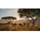 theHunter: Call of the Wild - Vurhonga Savanna DLC EU PC Steam CD Key