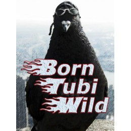 Born Tubi Wild EU PC Steam CD Key