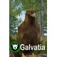 Galvatia EU PC Steam CD Key