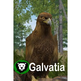 Galvatia EU PC Steam CD Key