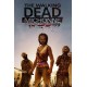 The Walking Dead: Michonne - The Complete Season AR XBOX One / Xbox Series X|S CD Key