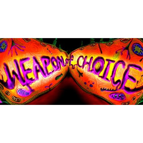 Weapon of Choice EU PC Steam CD Key