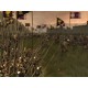 Medieval II: Total War Steam CD Key