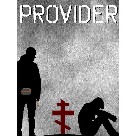 PROVIDER PC Steam CD Key