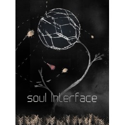 soul Interface PC Steam CD Key