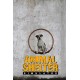 Animal Shelter EU PC Steam CD Key