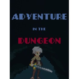 Adventure in the Dungeon PC Steam CD Key