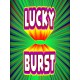 Lucky Burst PC Steam CD Key