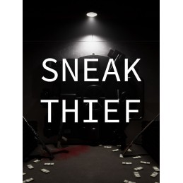 Sneak Thief EU PC Steam CD Key