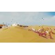 Totally Accurate Battle Simulator MENA PC Steam CD Key