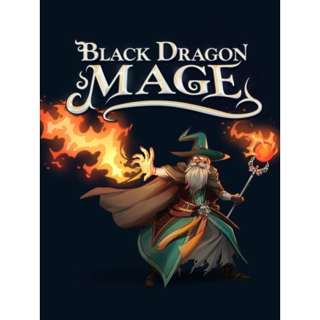 Black Dragon Mage PC Steam CD Key