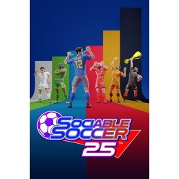 Sociable Soccer 25 PC Steam CD Key