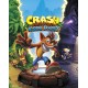 Crash Bandicoot N. Sane Trilogy PC Windows 10 Account