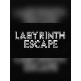 Labyrinth Escape PC Steam CD Key