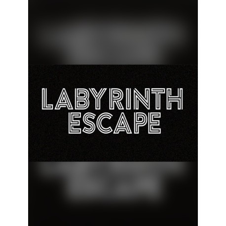 Labyrinth Escape PC Steam CD Key