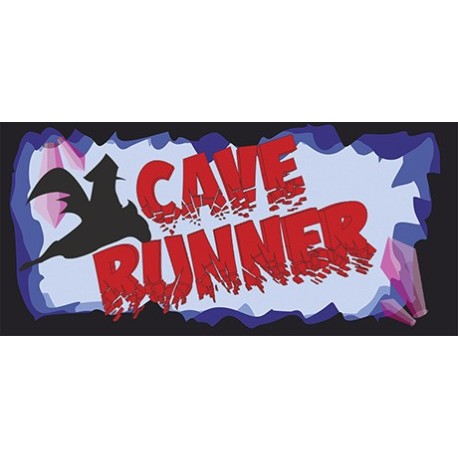 Cave Runner (2017) PC Steam CD Key