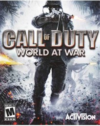 Call of Duty: World at War PC Steam CD Key