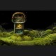 Samorost 3 Cosmic Edition Steam CD Key