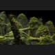 Samorost 3 Cosmic Edition Steam CD Key