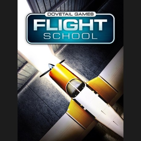 Dovetail Games Flight School Steam CD Key