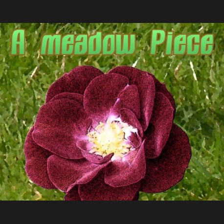 A meadow Piece Steam CD Key