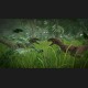 Jurassic World Evolution RU Steam CD Key