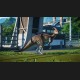 Jurassic World Evolution RU Steam CD Key