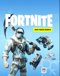 Fortnite Deep Freeze Bundle US PS4 CD Key