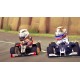 F1 Race Stars Complete Steam CD Key