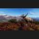 Way of the Hunter - Aurora Shores DLC Steam CD Key