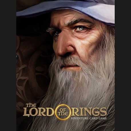 The Lord of the Rings Adventure Card Game Steam CD Key