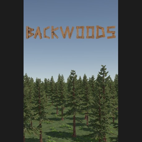 Backwoods Town PC Steam CD Key