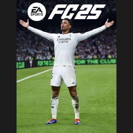 EA SPORTS FC 25 PC Steam Altergift