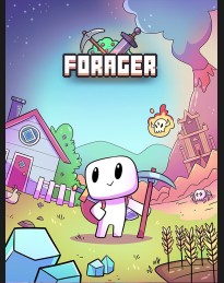 Forager ASIA PC Steam CD Key