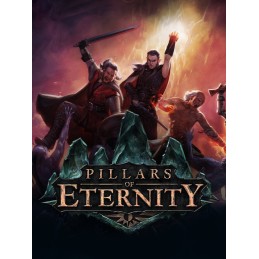 Pillars of Eternity Hero Edition + Preorder Bonus RU VPN Activated Steam CD Key